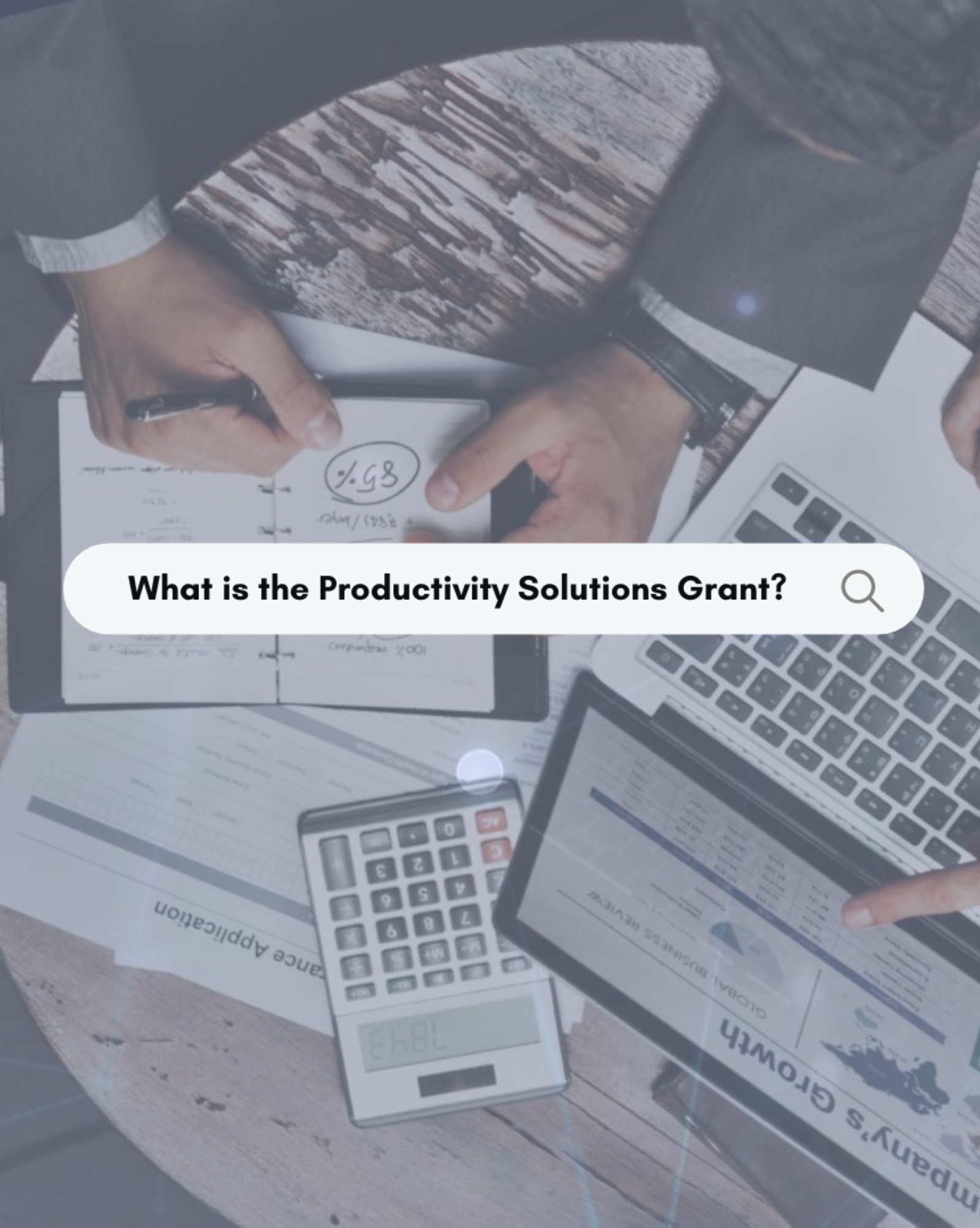 What is the Productivity Solutions Grant (PSG GRANT)?